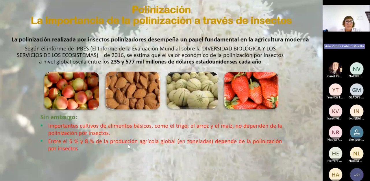 Ciclo de capacitación para personas egresadas del curso de Formación de Formadores (as)